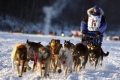 Iditarod Race