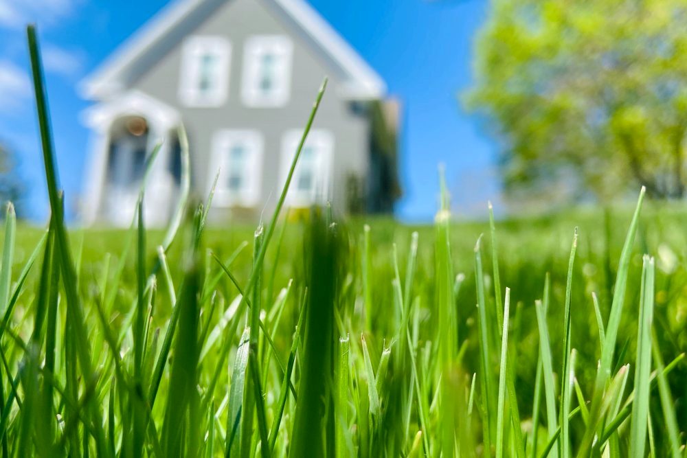 How to Conserve Water and Have a Great Lawn