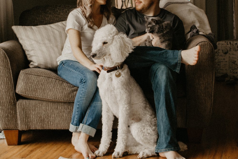 8 Reasons That Couples With Pets Are Happier