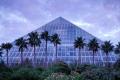 Moody Gardens Hotel, Spa and; Convention Center