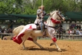 Scarborough Renaissance Festival 2022 Begins